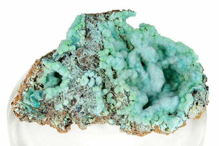 Vibrant Green Conichalcite with Chrysocolla - Namibia #247970